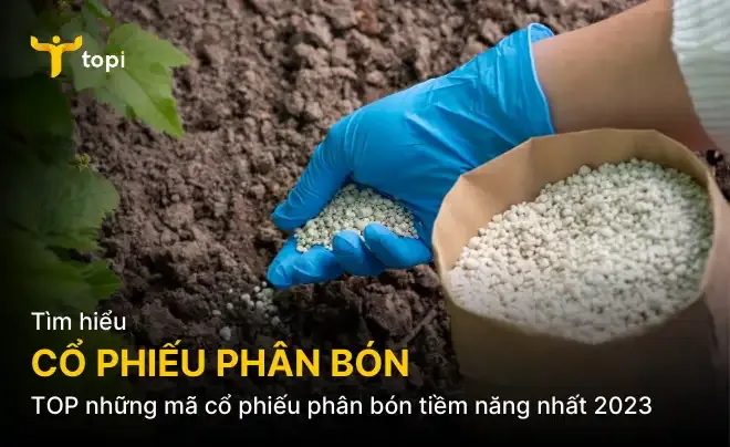 TOP những mã cổ phiếu phân bón tiềm năng nhất 2024