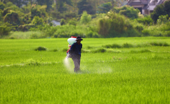 Phụ thuộc nhiều vào nguyên liệu đầu vào