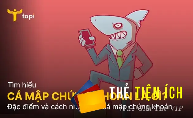 Cá mập (shark) chứng khoán là gì? Đặc điểm và cách nhận biết