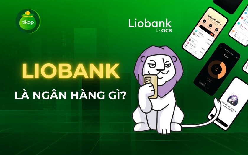 Cách đăng ký thẻ tín dụng hạn mức cao từ LIObank - ảnh minh họa 3